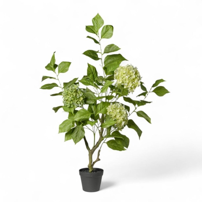 PIANTA ORTENSIA IN VASO CM108